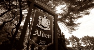 History_of_Alden